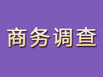 略阳商务调查